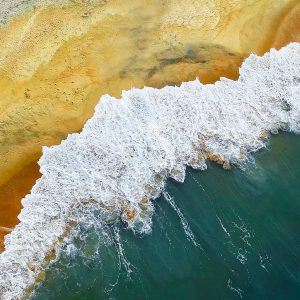 WordPress网站有什么样的优势，为什么使用wordpress建立品牌官网